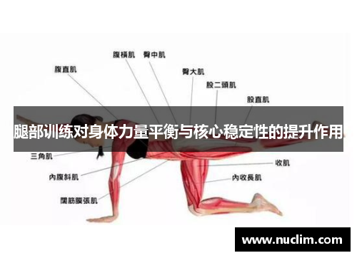 腿部训练对身体力量平衡与核心稳定性的提升作用